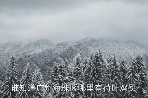 廣州哪有賣農家雞的，誰知道廣州海珠區哪里有荷葉雞買