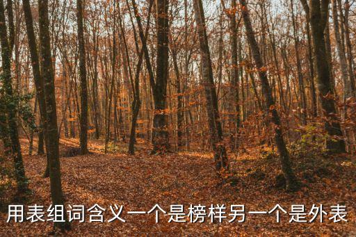 用表組詞含義一個是榜樣另一個是外表