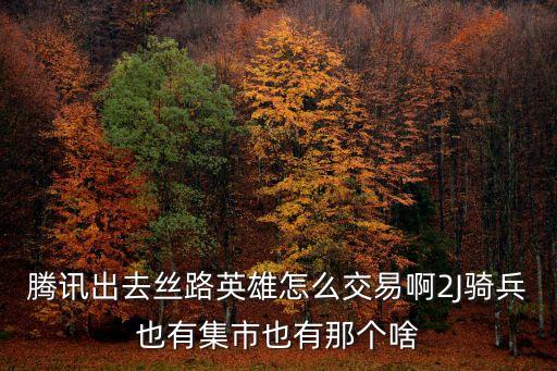 廣州市越洋絲路貿易有限公司，雙方的設計開發的空間ssd份進口