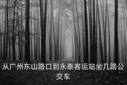 廣州東山路公交站，廣州東山總站有幾路公交車到