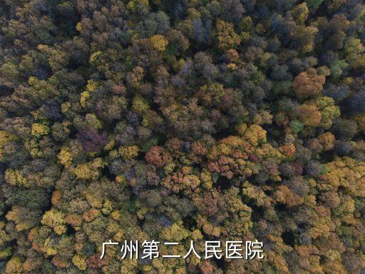 廣州隆盛大廈新聞，廣州市亞運會