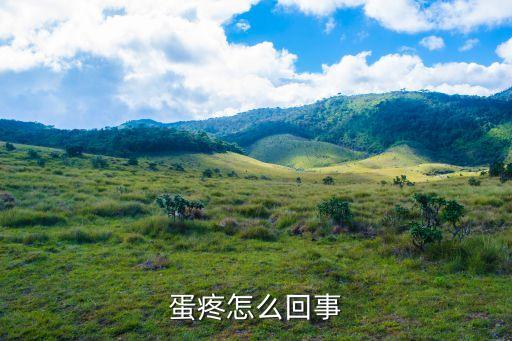 蛋疼怎么回事，蛋疼什么意思