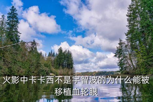 馳援武漢醫療隊返回廣州，火影中卡卡西不是宇智波的為什么能被移植血輪眼