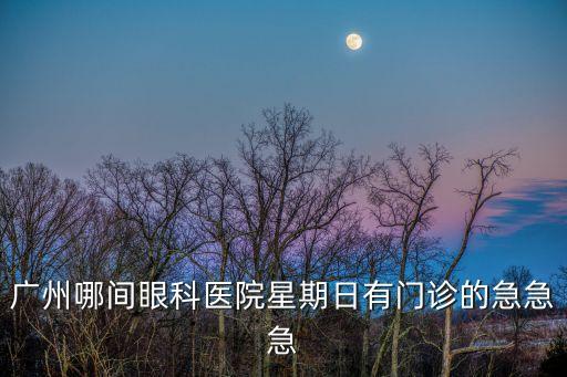 廣州哪間眼科醫院星期日有門診的急急急