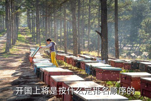 上將排名，中國現(xiàn)代上將排名