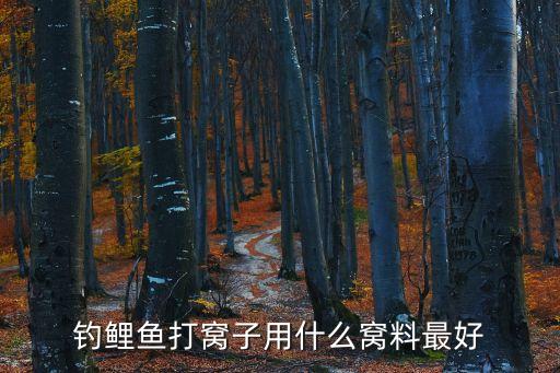 釣鯉魚打窩子用什么窩料最好