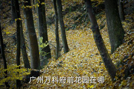 廣州萬科府前最好小區，廣州萬科府前花園在哪