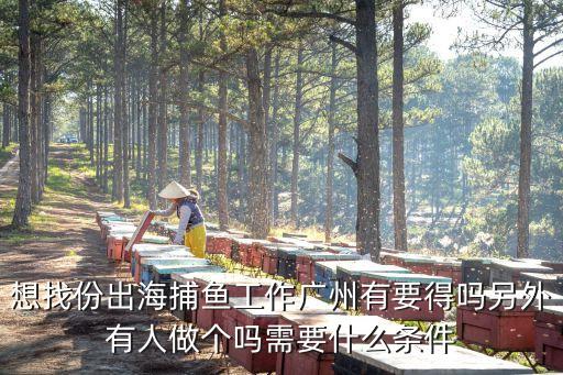 廣州出海抓魚，廣州的碼頭有出海捕魚的嗎