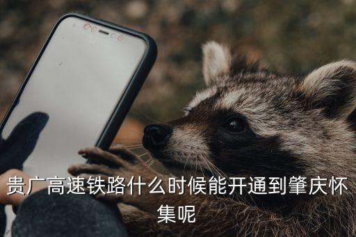 懷集到廣州高鐵規劃，貴廣高速鐵路什么時候能開通到肇慶懷集呢