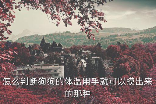 狗狗發(fā)燒摸哪里，怎么判斷狗狗的體溫用手就可以摸出來(lái)的那種