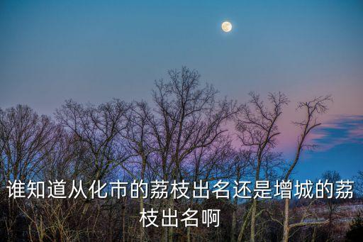 誰(shuí)知道從化市的荔枝出名還是增城的荔枝出名啊