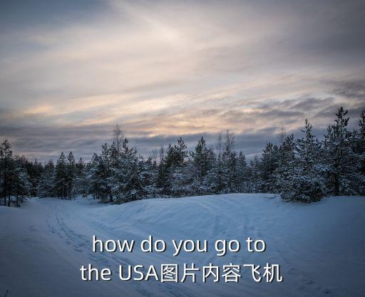 how do you go to the USA圖片內容飛機