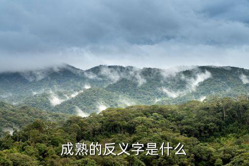 成熟的反義詞，成熟反義詞