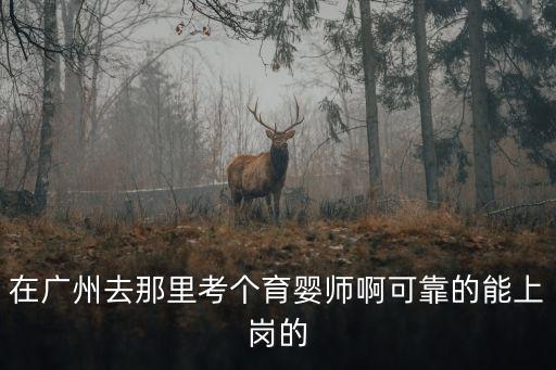 在廣州去那里考個育嬰師啊可靠的能上崗的