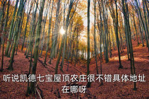 聽說凱德七寶屋頂農莊很不錯具體地址在哪呀