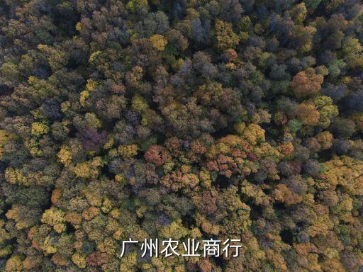 廣州農(nóng)商銀行官方網(wǎng)址，廣州農(nóng)業(yè)商行