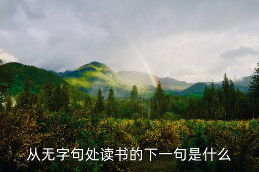 從無(wú)字句處讀書(shū)，從無(wú)字句處讀書(shū)的下一句是什么