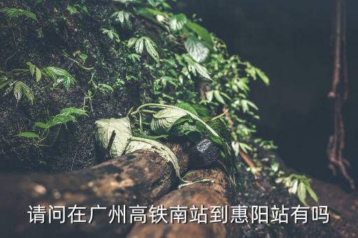 廣州有高鐵到惠陽，請問在廣州高鐵南站到惠陽站有嗎