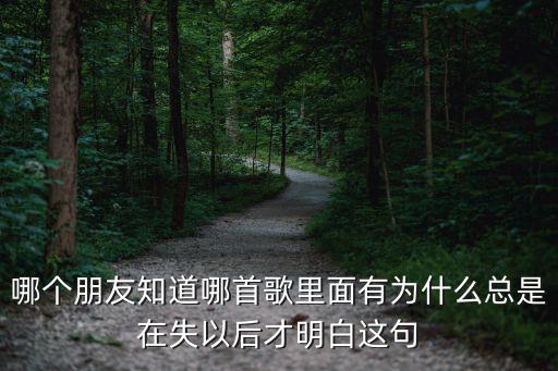 哪個朋友知道哪首歌里面有為什么總是在失以后才明白這句