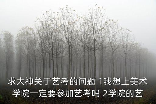 求大神關(guān)于藝考的問題 1我想上美術(shù)學(xué)院一定要參加藝考嗎 2學(xué)院的藝