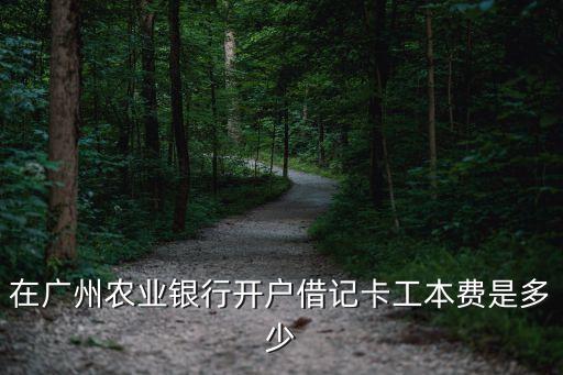 在廣州農(nóng)業(yè)銀行開戶借記卡工本費是多少