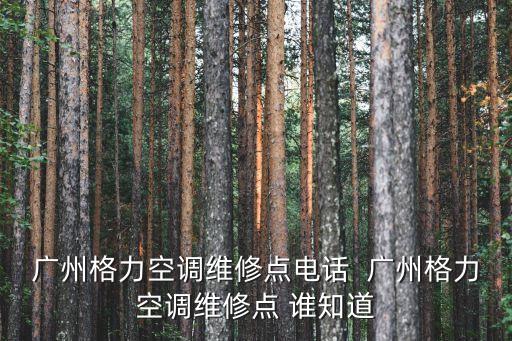 廣州格力空調維修點電話  廣州格力空調維修點 誰知道