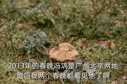 2013年的春晚馮鞏是廣州北京兩地跑嗎我兩個(gè)春晚都看見(jiàn)他了啊