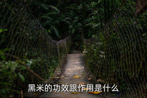 黑米的功效跟作用是什么