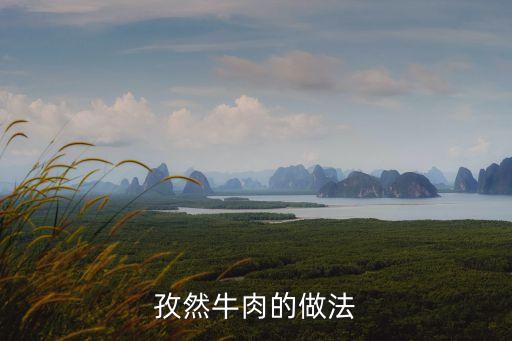 孜然牛肉粒，孜然牛肉怎么做好吃孜然牛肉的家常做法