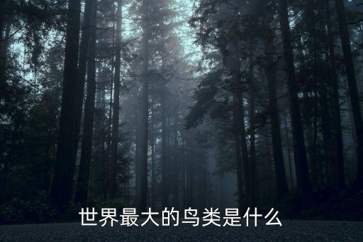 世界上最大的鳥類，世界上最大的鳥