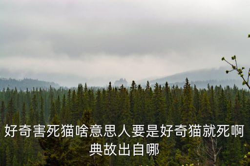 好奇害死貓啥意思人要是好奇貓就死啊典故出自哪