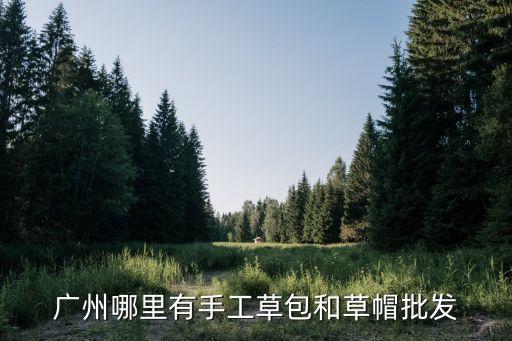 廣州哪里有批發(fā)草帽，廣州哪里有手工草包和草帽批發(fā)