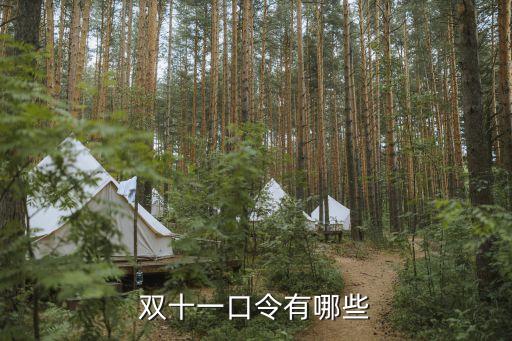 雙十一口令有哪些