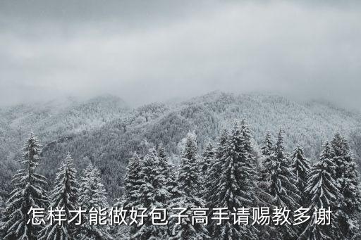 包包子的方法，包子怎么做