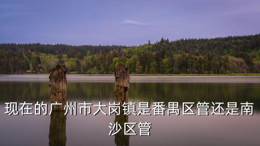現在的廣州市大崗鎮是番禺區管還是南沙區管
