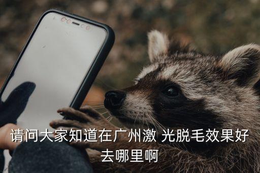 廣州脫腋毛三甲醫(yī)院，請問大家知道在廣州激 光脫毛效果好去哪里啊