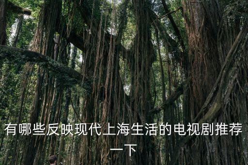 有哪些反映現代上海生活的電視劇推薦一下