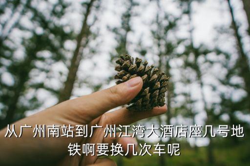 從廣州南站到廣州江灣大酒店座幾號(hào)地鐵啊要換幾次車呢