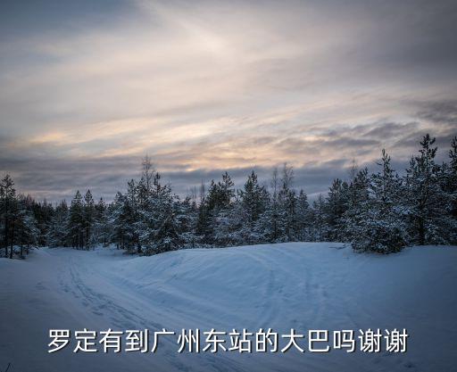 羅定有到廣州東站的大巴嗎謝謝