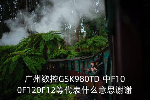 廣州數(shù)控GSK980TD 中F100F120F12等代表什么意思謝謝