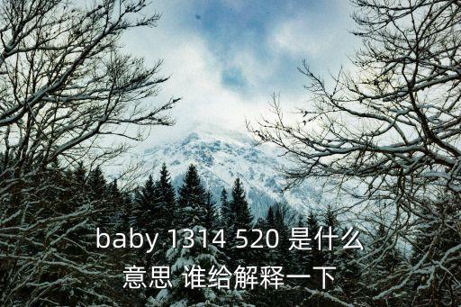 baby 1314 520 是什么意思 誰給解釋一下