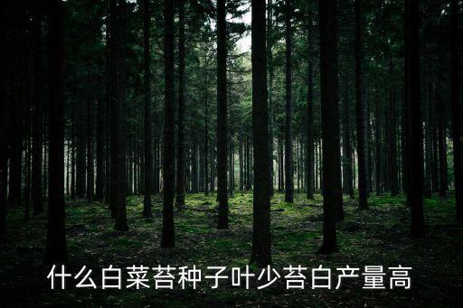 什么白菜苔種子葉少苔白產(chǎn)量高