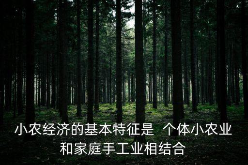 小農經濟的特點，小農經濟生活方式的特點