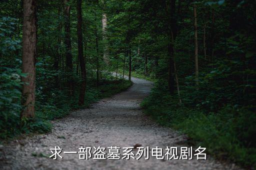 盜墓系列電視劇，關于盜墓電視劇都有哪些