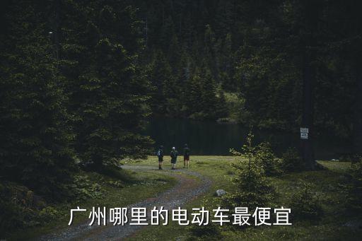 廣州哪里電動車賣得便宜，廣州什么地方賣的電動車很好價格上和要便宜點