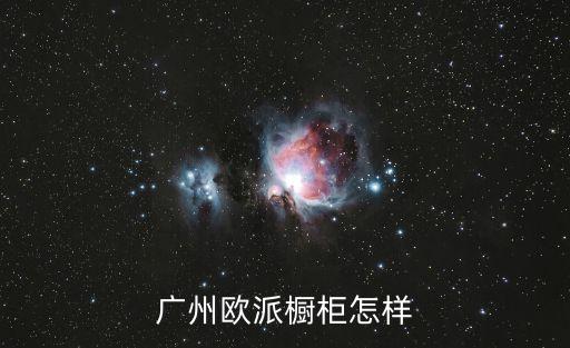 廣州櫥柜商會大佬，廣州新東方廚房大佬2年要多少錢