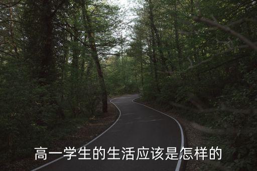 高一學生，我是一個高一學生我的學習效力較低怎么辦啊請大家幫幫我我