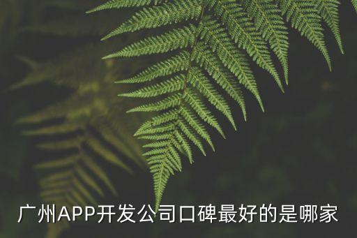 廣州好一點的前端公司，可以推薦廣州有哪些比較好的軟件公司嗎