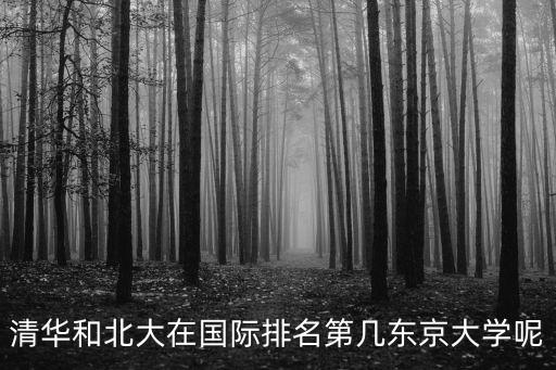 清華和北大在國際排名第幾東京大學呢