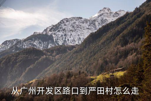 廣州海岸社區(qū)到嚴田村的公交，從廣州開發(fā)區(qū)路口到嚴田村怎么走